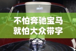 不怕奔驰宝马就怕大众带字母什么意思  第1张