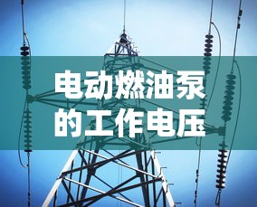 电动燃油泵的工作电压  第1张