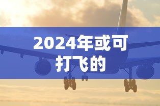 2024年或可打飞的  第1张
