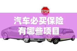 汽车必买保险有哪些项目  第1张