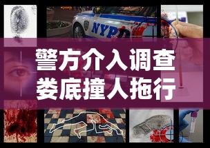 塞尔号h5  第1张
