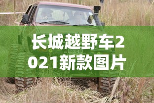 长城越野车2021新款图片价格表  第1张