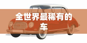 全世界最稀有的车  第1张
