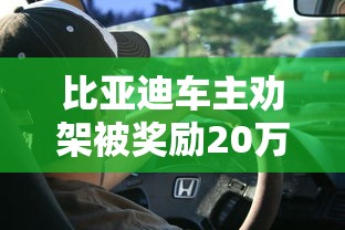 比亚迪车主劝架被奖励20万是真的吗  第1张