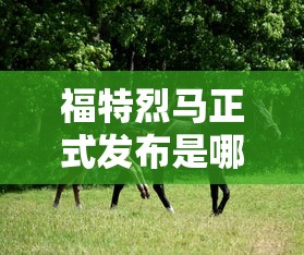 the power of love歌词翻译中文  第1张