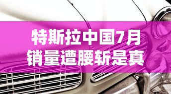 特斯拉中国7月销量遭腰斩是真的吗  第1张