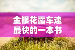 金银花露车速最快的一本书困苦人生路  第1张