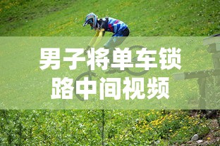 男子将单车锁路中间视频  第1张