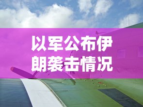 以军公布伊朗袭击情况是真的吗  第1张