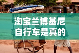 淘宝兰博基尼自行车是真的吗  第1张