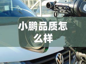 小鹏品质怎么样  第1张
