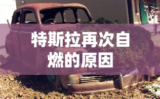 特斯拉再次自燃的原因  第1张