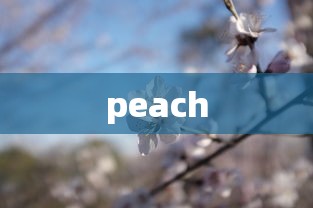 peach  第1张