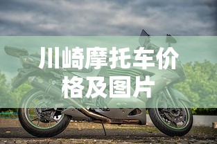 川崎摩托车价格及图片  第1张