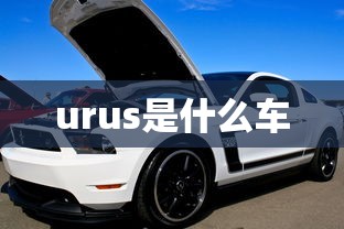 urus是什么车  第1张