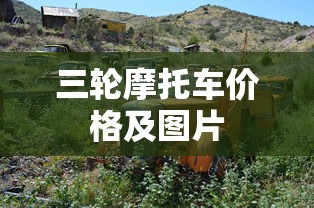 三轮摩托车价格及图片  第1张