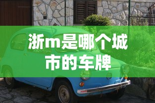 浙m是哪个城市的车牌  第1张