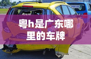 粤h是广东哪里的车牌  第1张