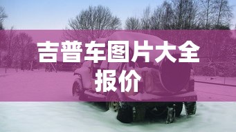 吉普车图片大全报价  第1张