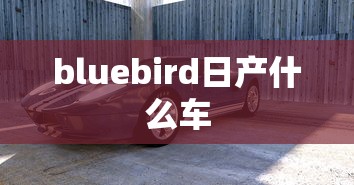 bluebird日产什么车  第1张