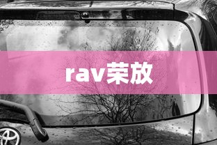 rav荣放  第1张