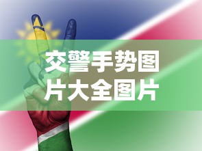交警手势图片大全图片及解释  第1张