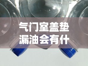 气门室盖垫漏油会有什么影响  第1张