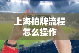 上海拍牌流程怎么操作  第1张