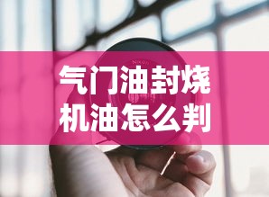 气门油封烧机油怎么判断  第1张