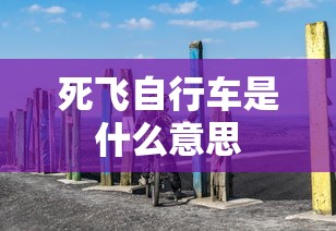 死飞自行车是什么意思  第1张