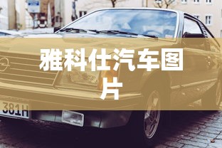 雅科仕汽车图片  第1张