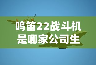 鸣笛22战斗机是哪家公司生产的  第1张