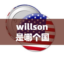 willson是哪个国家的品牌  第1张