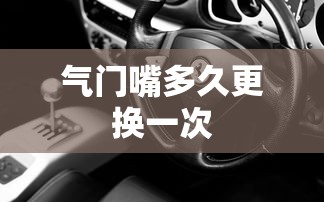 气门嘴多久更换一次  第1张