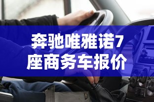 奔驰唯雅诺7座商务车报价  第1张