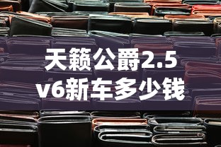 天籁公爵2.5v6新车多少钱  第1张