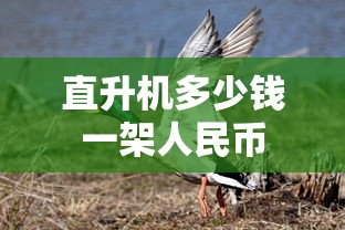 直升机多少钱一架人民币  第1张