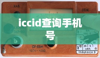 iccid查询手机号  第1张