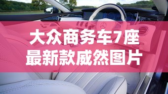 大众商务车7座最新款威然图片  第1张