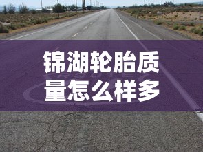 锦湖轮胎质量怎么样多少钱一条  第1张