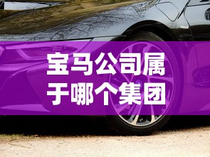 宝马公司属于哪个集团  第1张