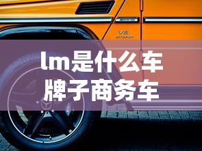 lm是什么车牌子商务车  第1张