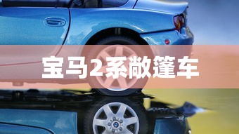 宝马2系敞篷车  第1张