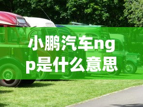 小鹏汽车ngp是什么意思  第1张