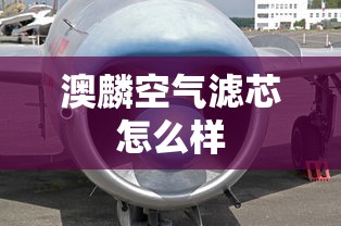 澳麟空气滤芯怎么样  第1张