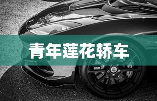 青年莲花轿车  第1张