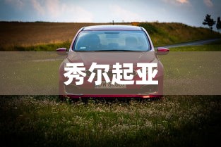 秀尔起亚  第1张
