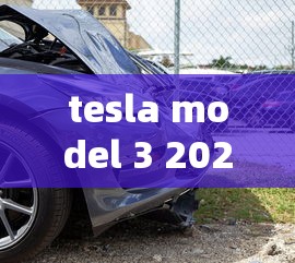 tesla model 3 2024 新款  第1张
