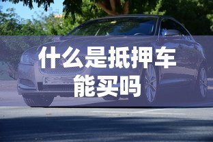 什么是抵押车能买吗  第1张