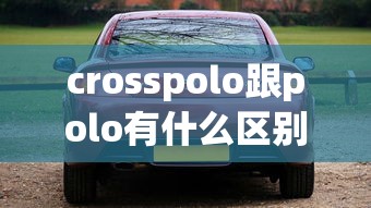 crosspolo跟polo有什么区别  第1张